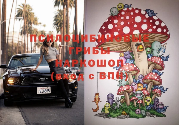 тгк Покровск