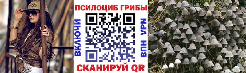 mega маркетплейс  Пестово  Псилоцибиновые грибы Magic Shrooms 